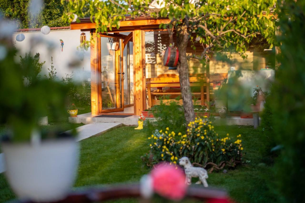 Guest House Vasilena ساباريفا بانيا المظهر الخارجي الصورة