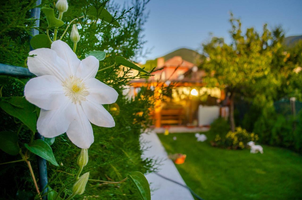 Guest House Vasilena ساباريفا بانيا المظهر الخارجي الصورة